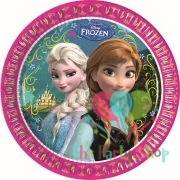 Disney Frozen Girl Theme 9 Inch Dinner Plates Frozen Elsa Anna Princess Happy Birthday Party Decorations (Pack of 8)